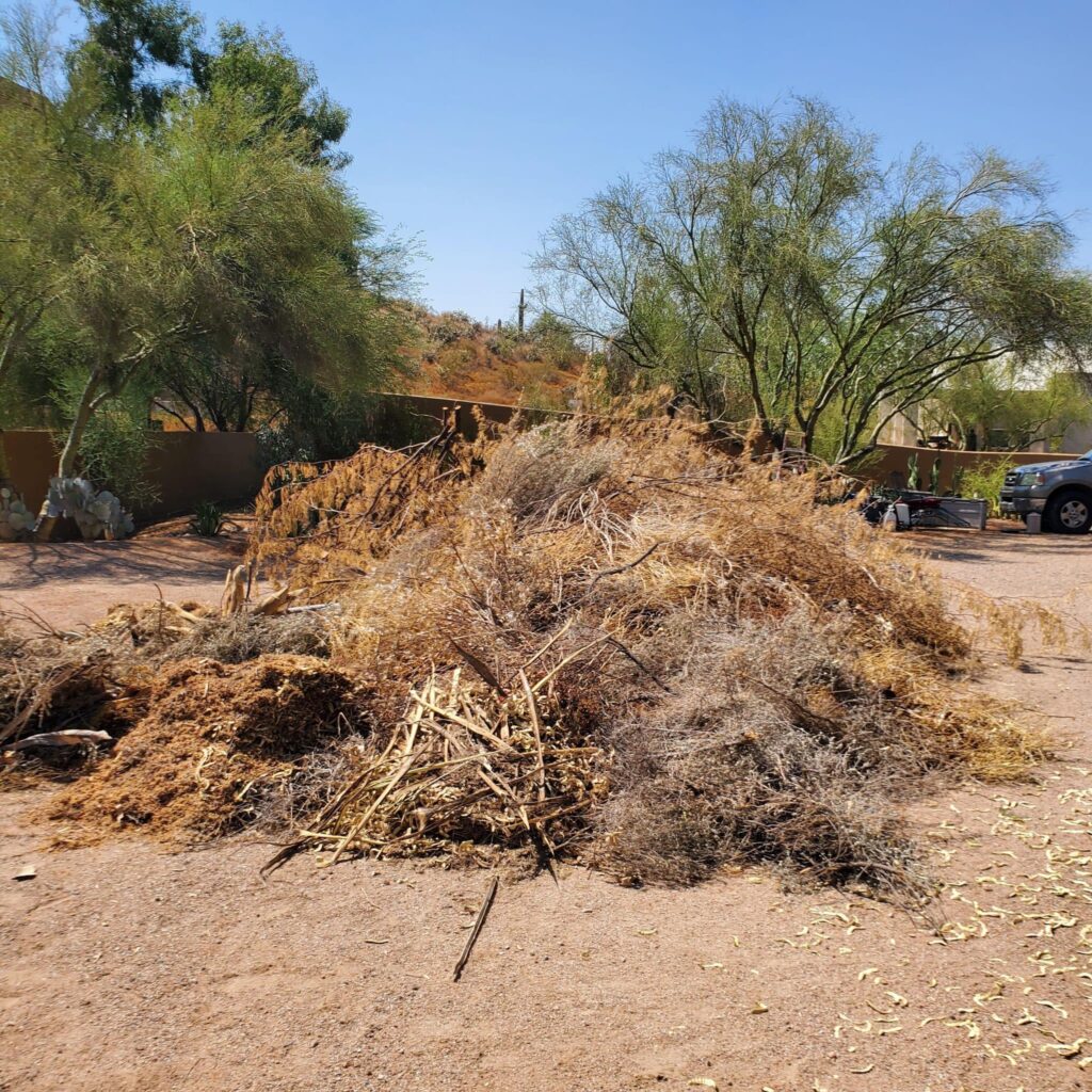 brush removal phoenix az